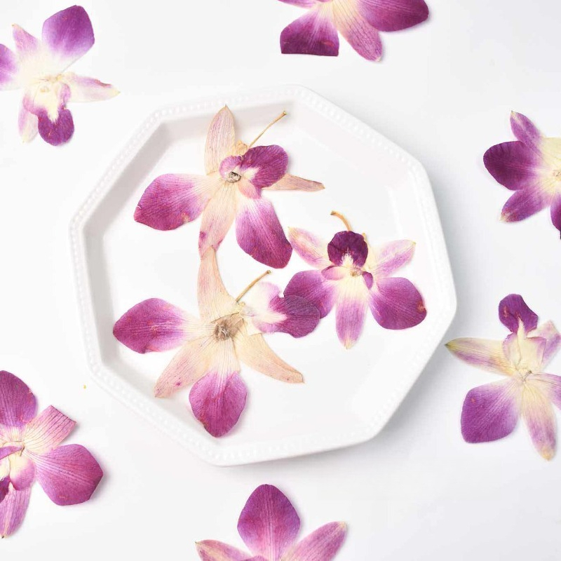Pressed Flower Frame - 4개, 실제 압화 나비 난초 꽃