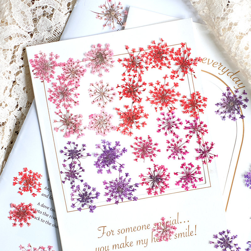 Pressed Flower Frame - 24개, 2-2.5cm, 자연 염색 미니 레이스