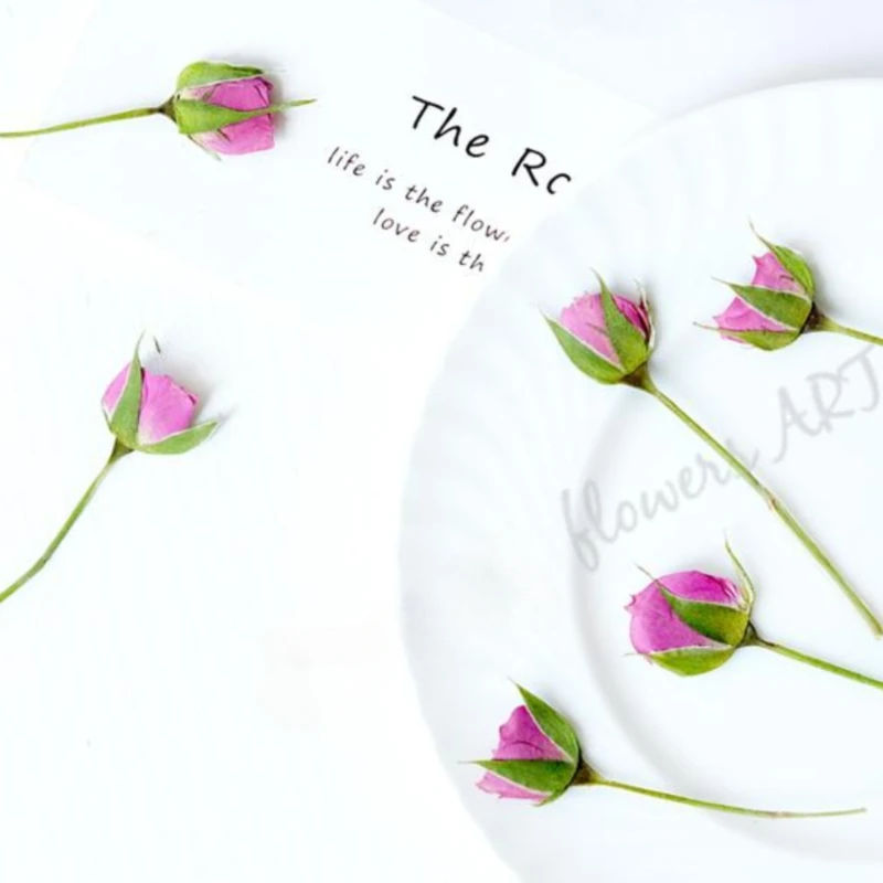 압착된 장미꽃 꽃잎 드라이 플라워 DIY 식물 사진 프 - Pressed Flower Frame 리뷰 및 가격