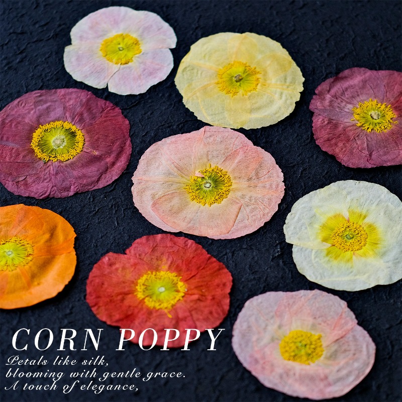 1개, 자연산 양귀비 압화 DIY 레진 몰드 스크랩북  - Pressed Flower Frame 리뷰 및 가격