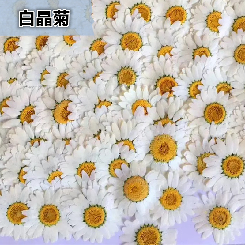 100개 천연 백색 크리스탈 국화 데이지 식물 표본 실 - Pressed Flower Frame 리뷰 및 가격