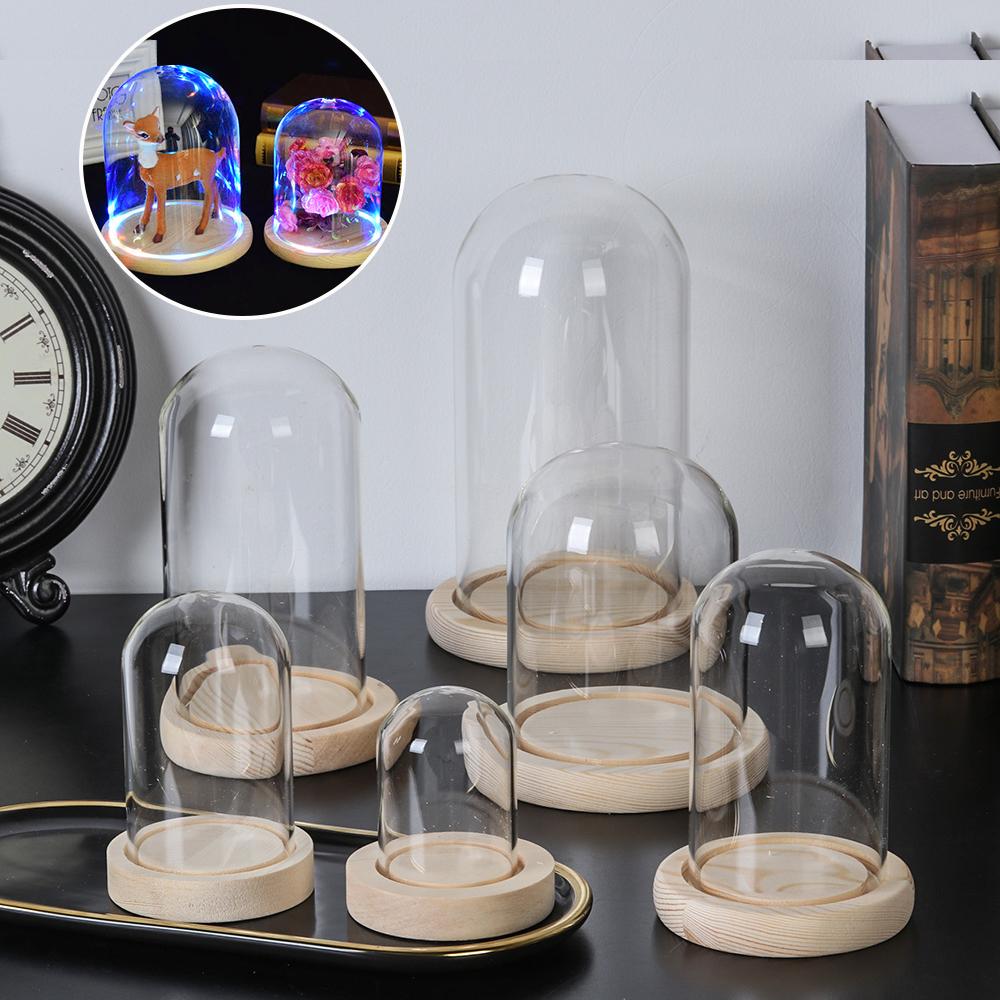 홈데코 식물 항아리 테라리움 유리 화병 먼지 덮개 나무 - Home Decor Glass 리뷰 및 가격