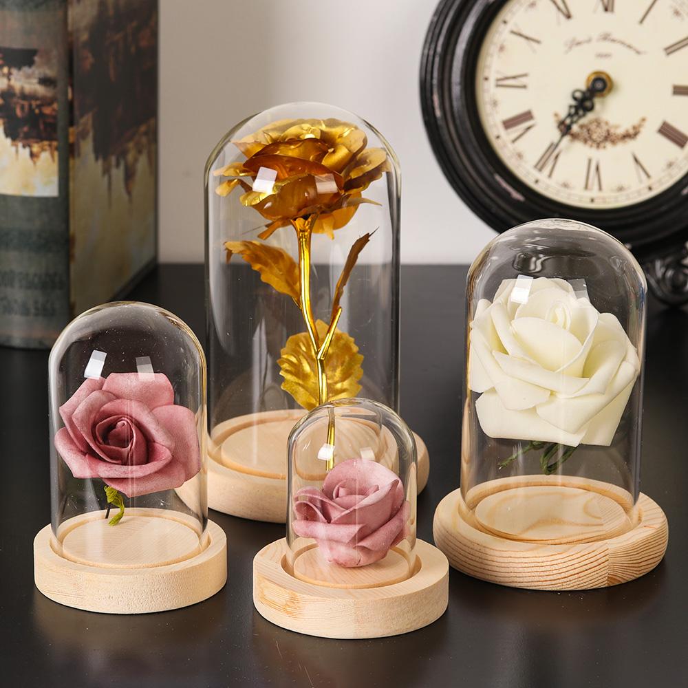 홈데코 식물 항아리 테라리움 유리 화병 먼지 덮개 나무 - Home Decor Glass 리뷰 및 가격