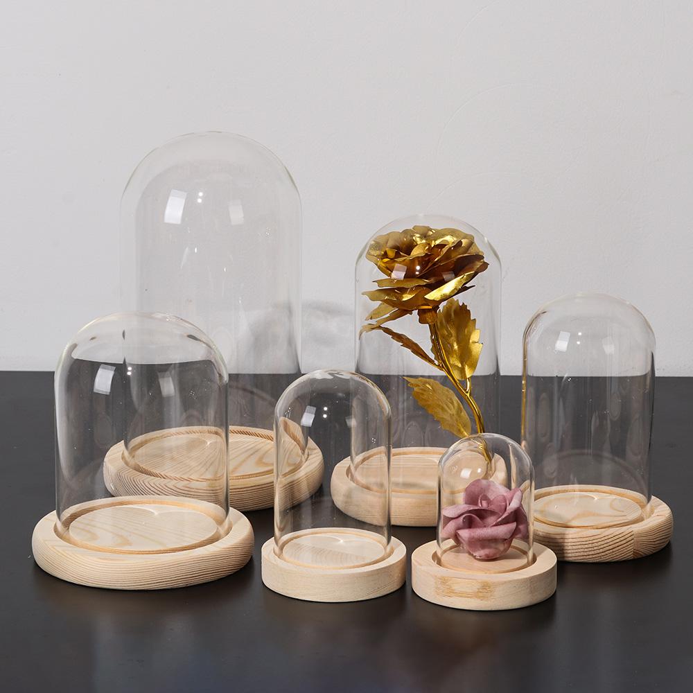 홈데코 식물 항아리 테라리움 유리 화병 먼지 덮개 나무 - Home Decor Glass 리뷰 및 가격
