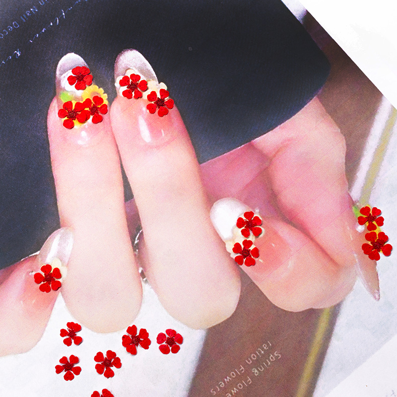 96개 미니 1.5cm 천연 압화 화려한 진주빛 꽃 말 - Pressed Flower Frame 리뷰 및 가격