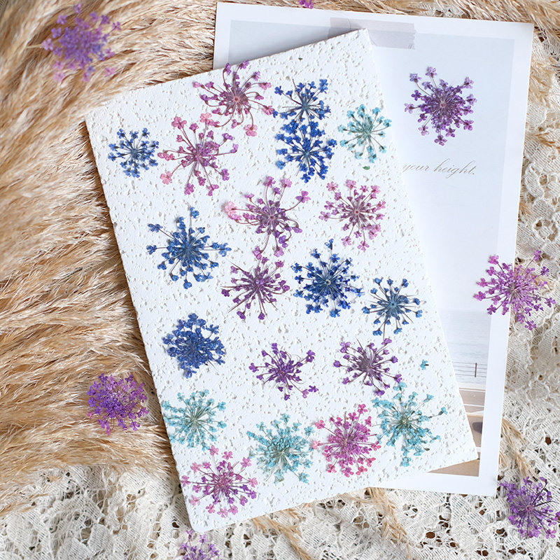 24개, 2-2.5cm, 자연 염색 미니 레이스 압화  - Pressed Flower Frame 리뷰 및 가격
