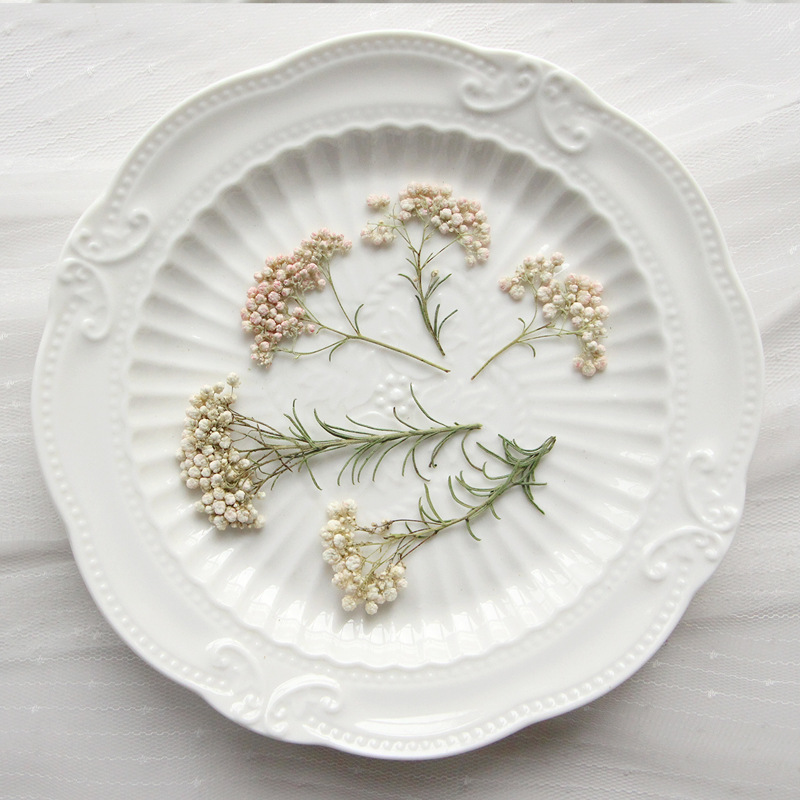 12개, 자연산 수수꽃 가지, 압화 DIY 글루 드롭  - Pressed Flower Frame 리뷰 및 가격